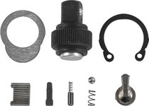 Ремонтный комплект для рукоятки трещоточной 1/4"DR, 60 зубцов R6802