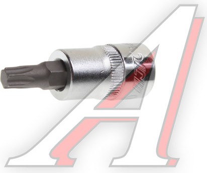 Бита-головка 3/8" TORX T40х48мм JTC