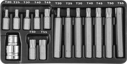 Набор вставок-бит 10 мм TORX® (30 и 75 мм), Т20-Т55, 15 предметов