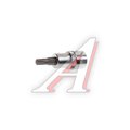 Бита-головка 3/8" TORX T30х48мм JTC